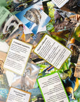 Азія - Education Cards