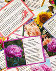 Квіти - Education Cards