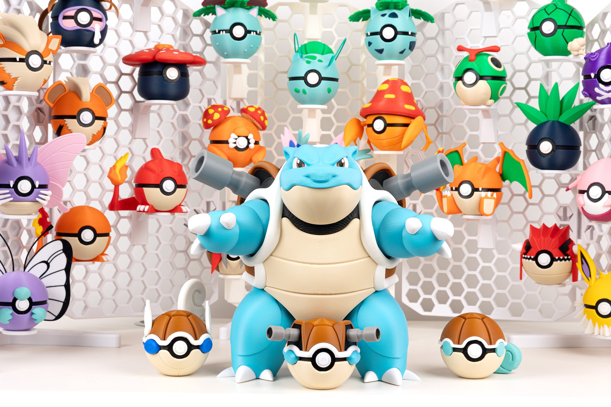 Покеболи - Education Cards