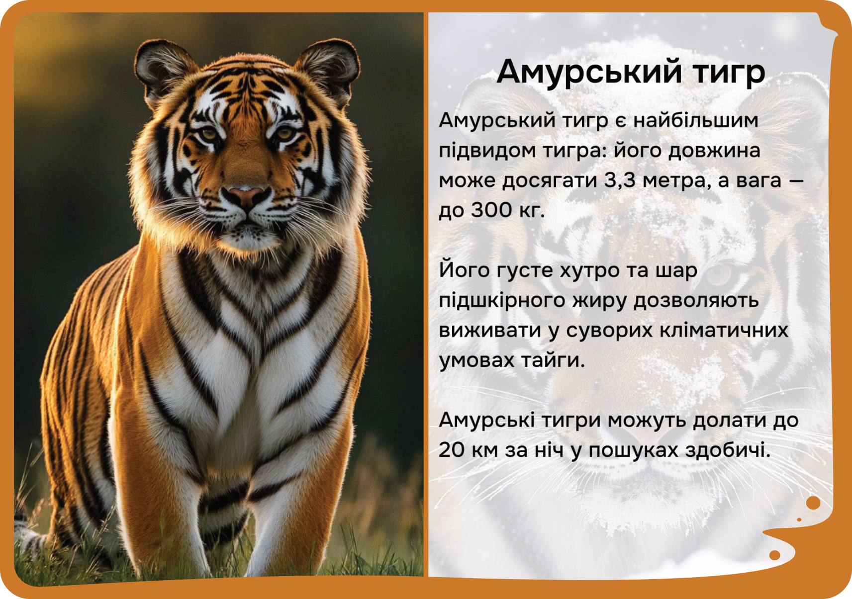 Азія