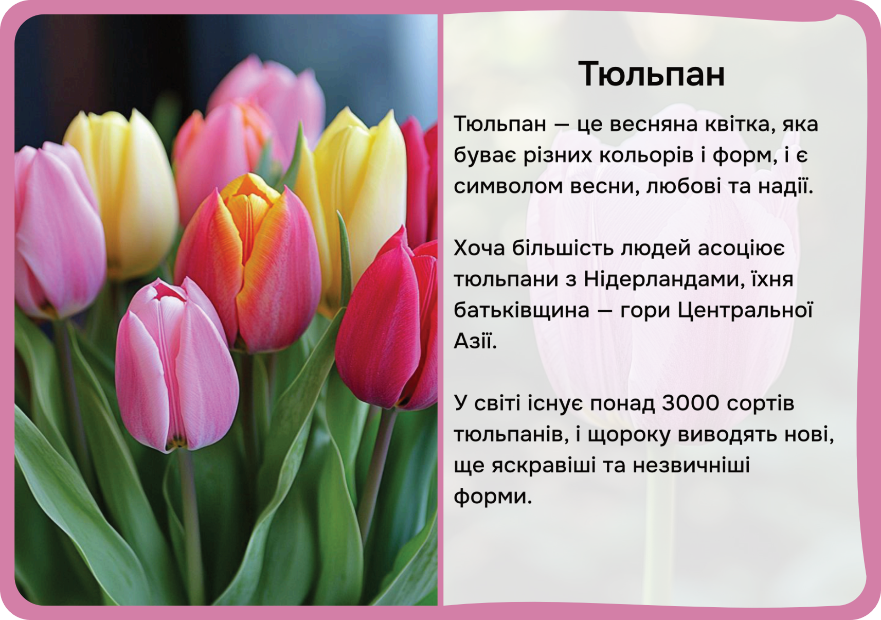 Квіти