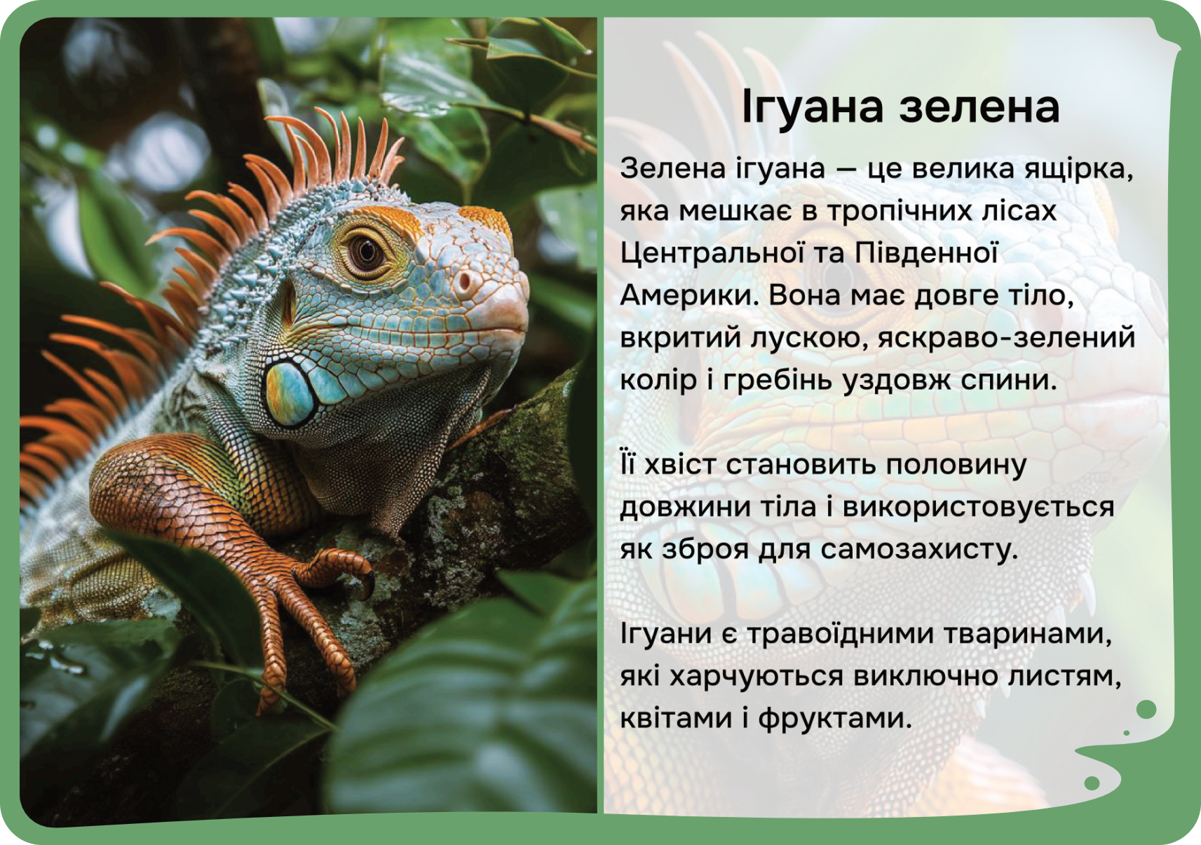 Південна Америка