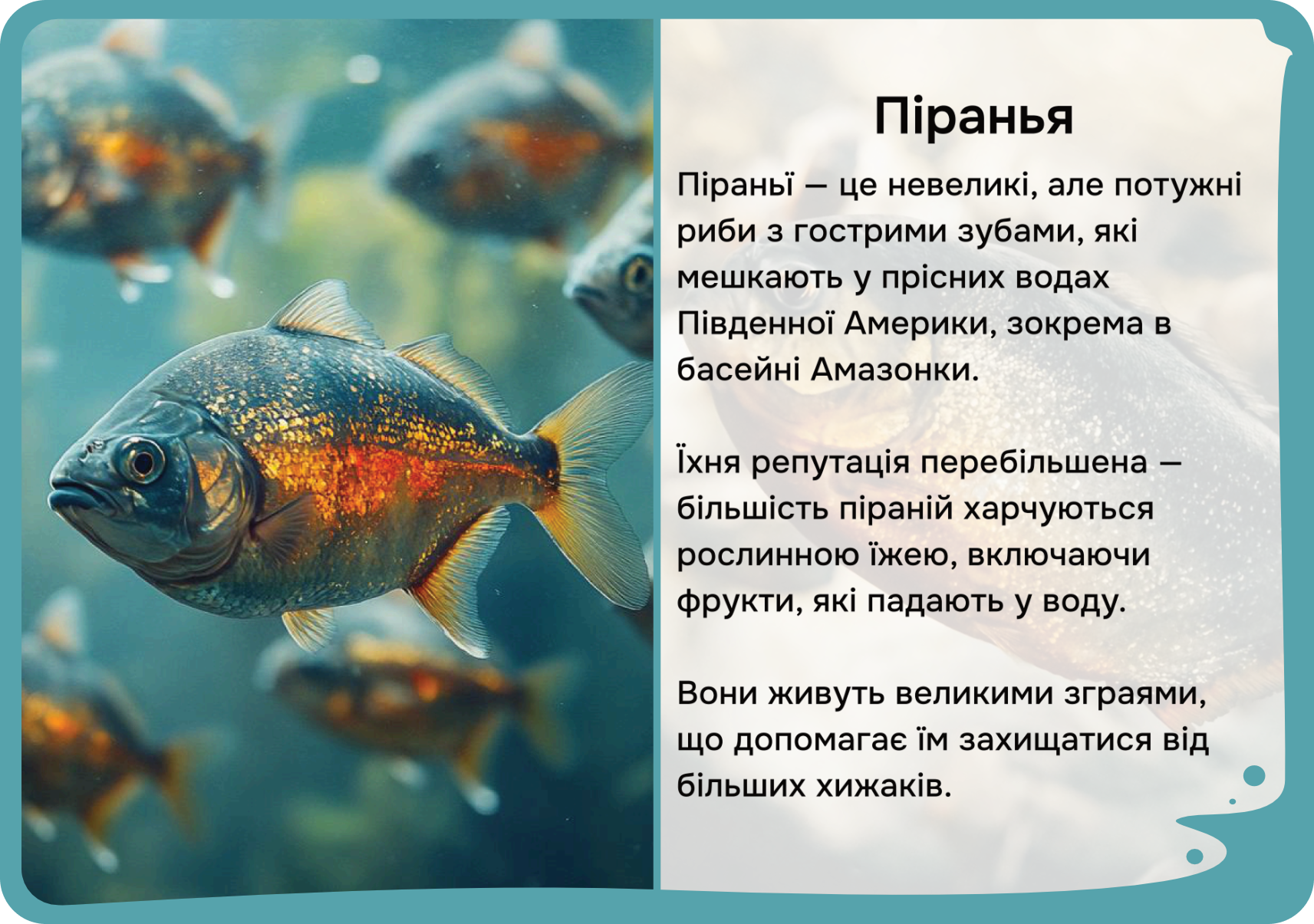 Південна Америка
