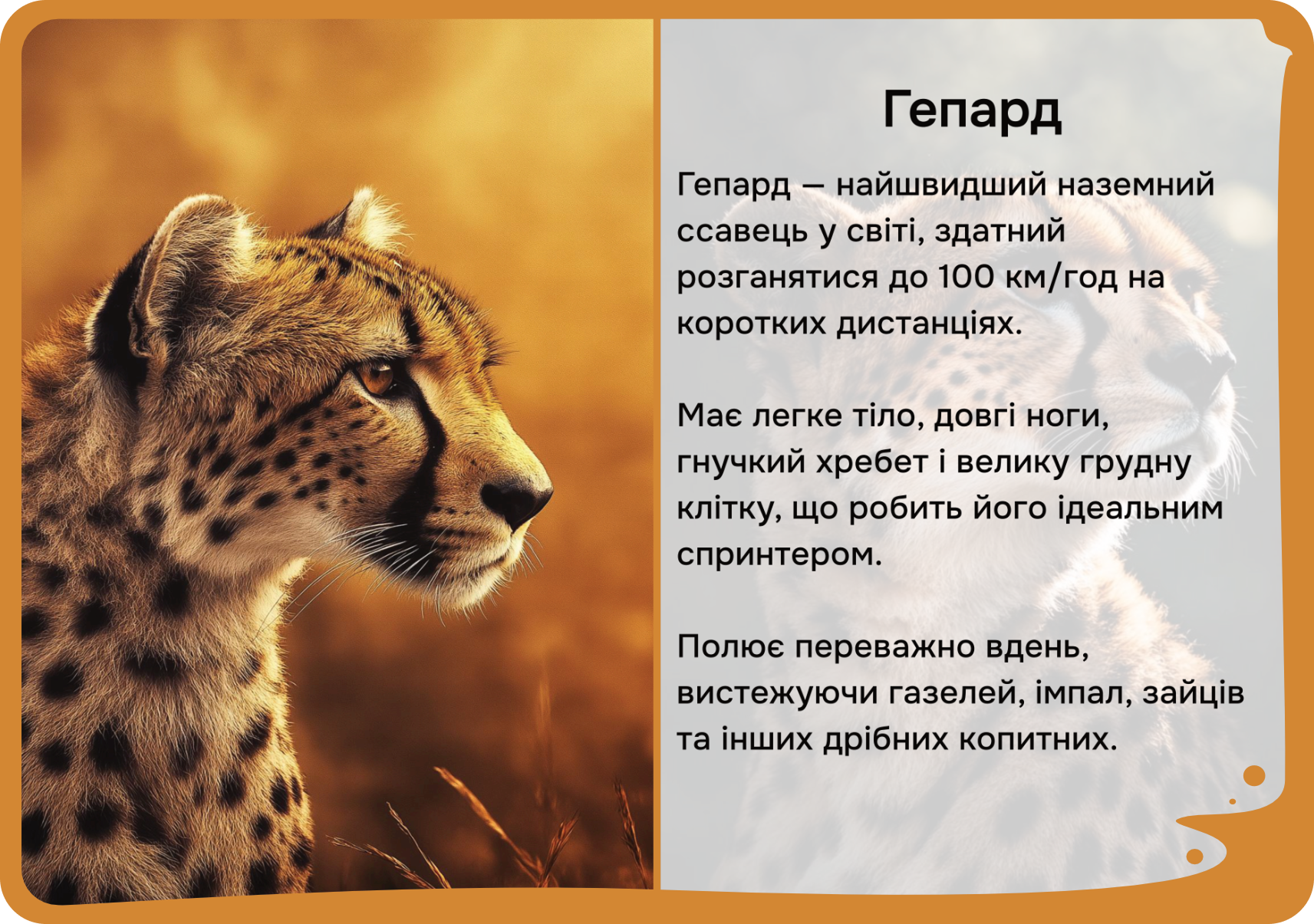Африка