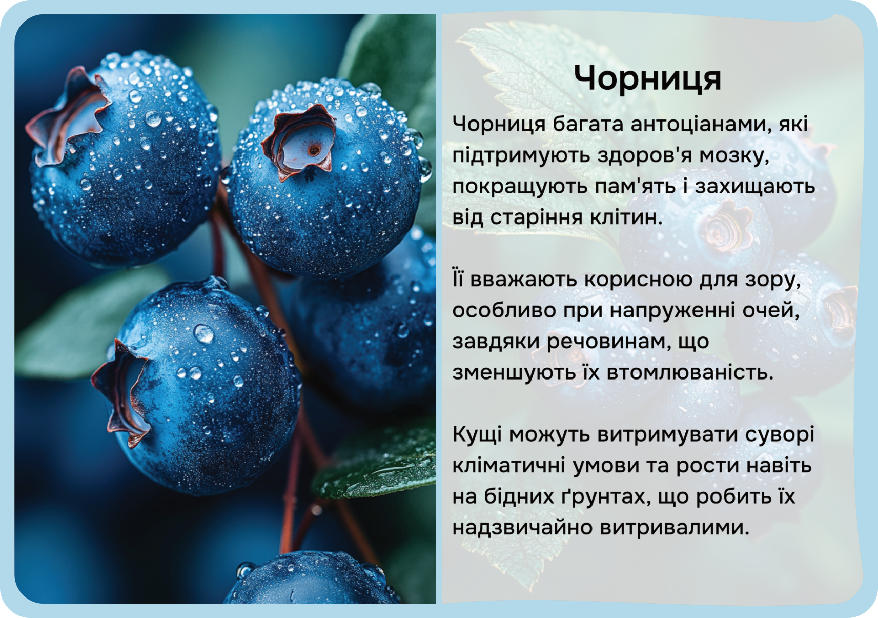 Фрукти та овочі