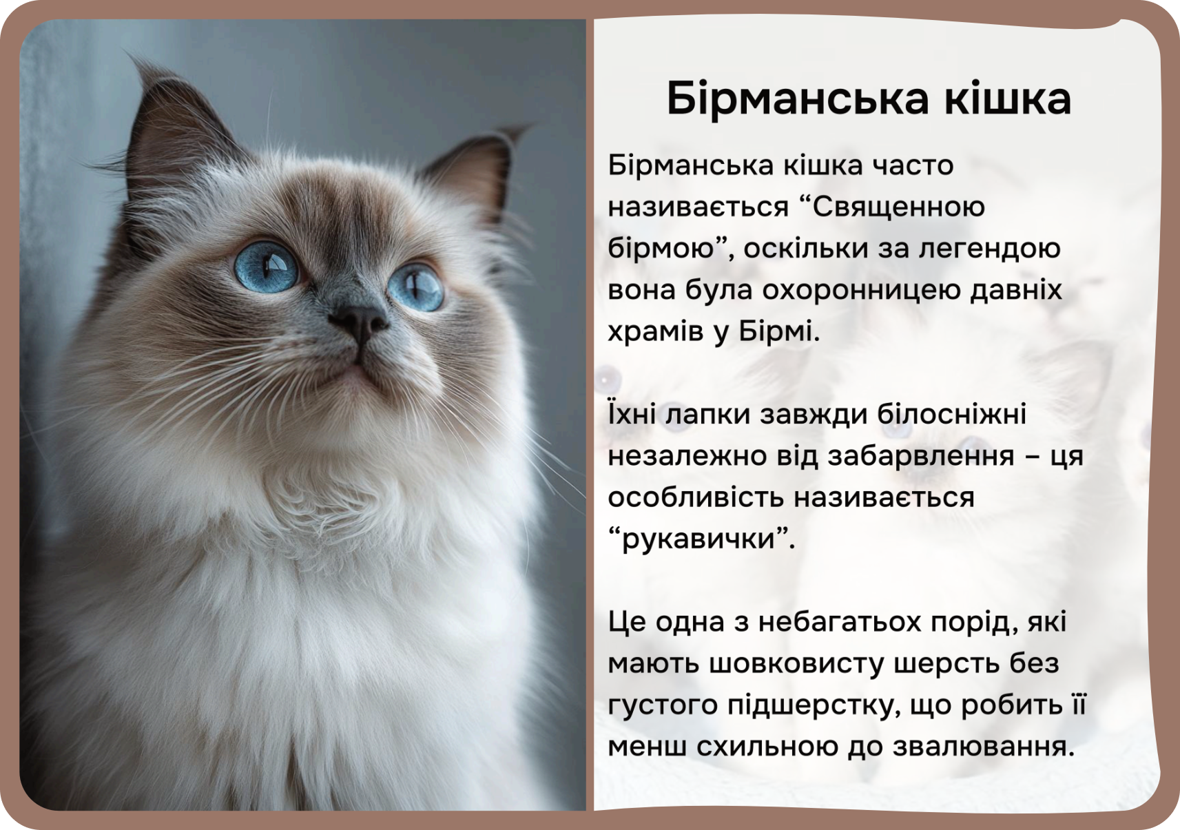 Коти та собаки