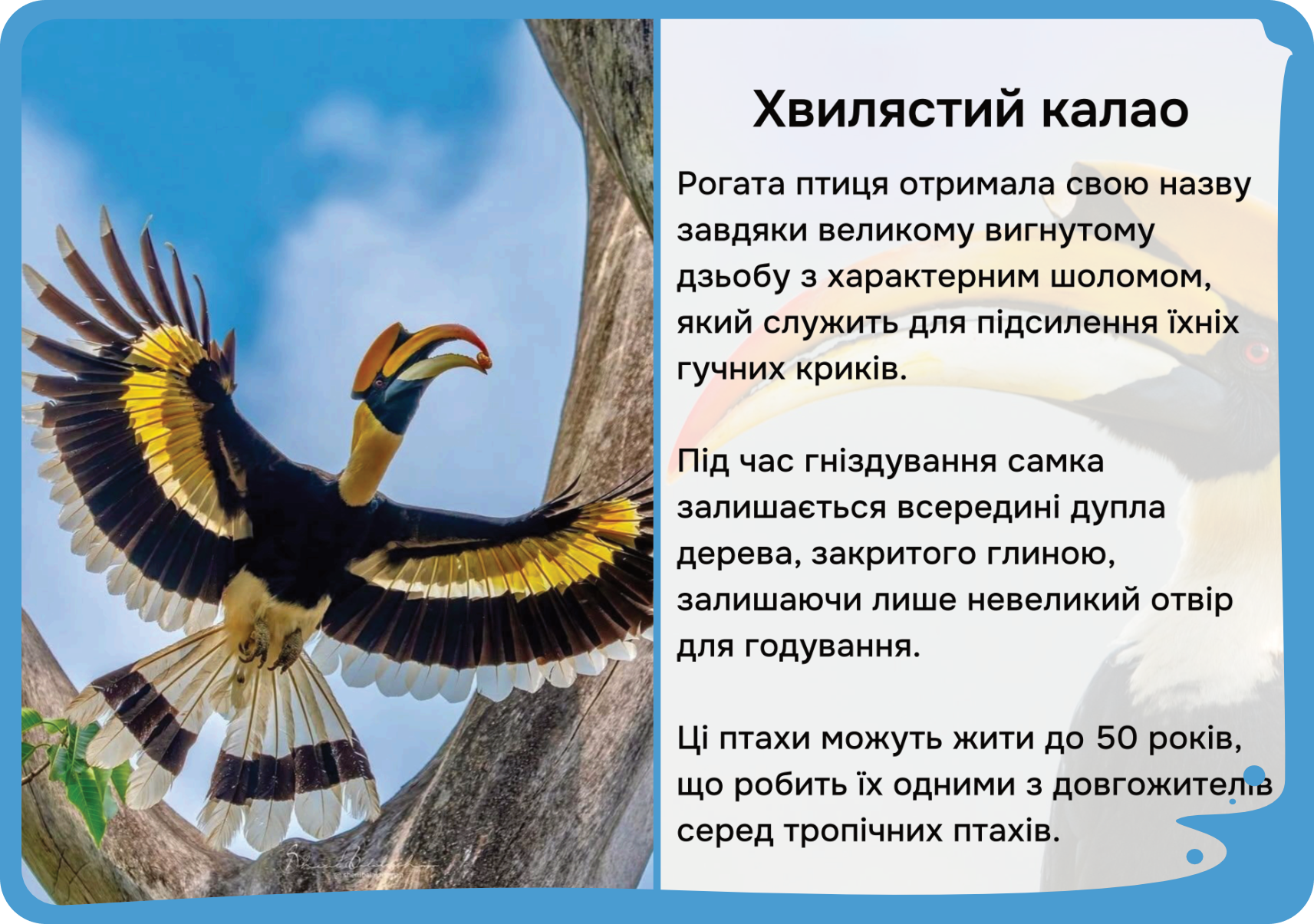 Азія