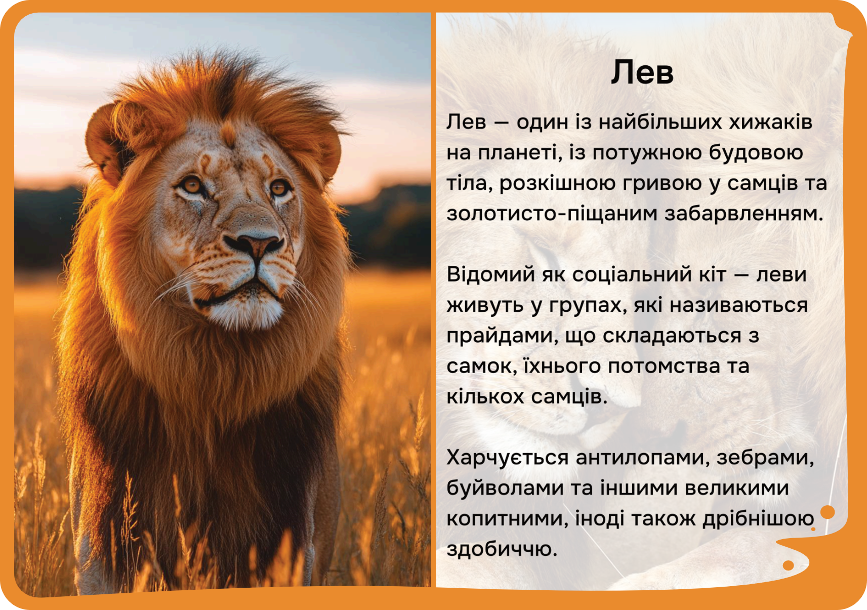 Африка