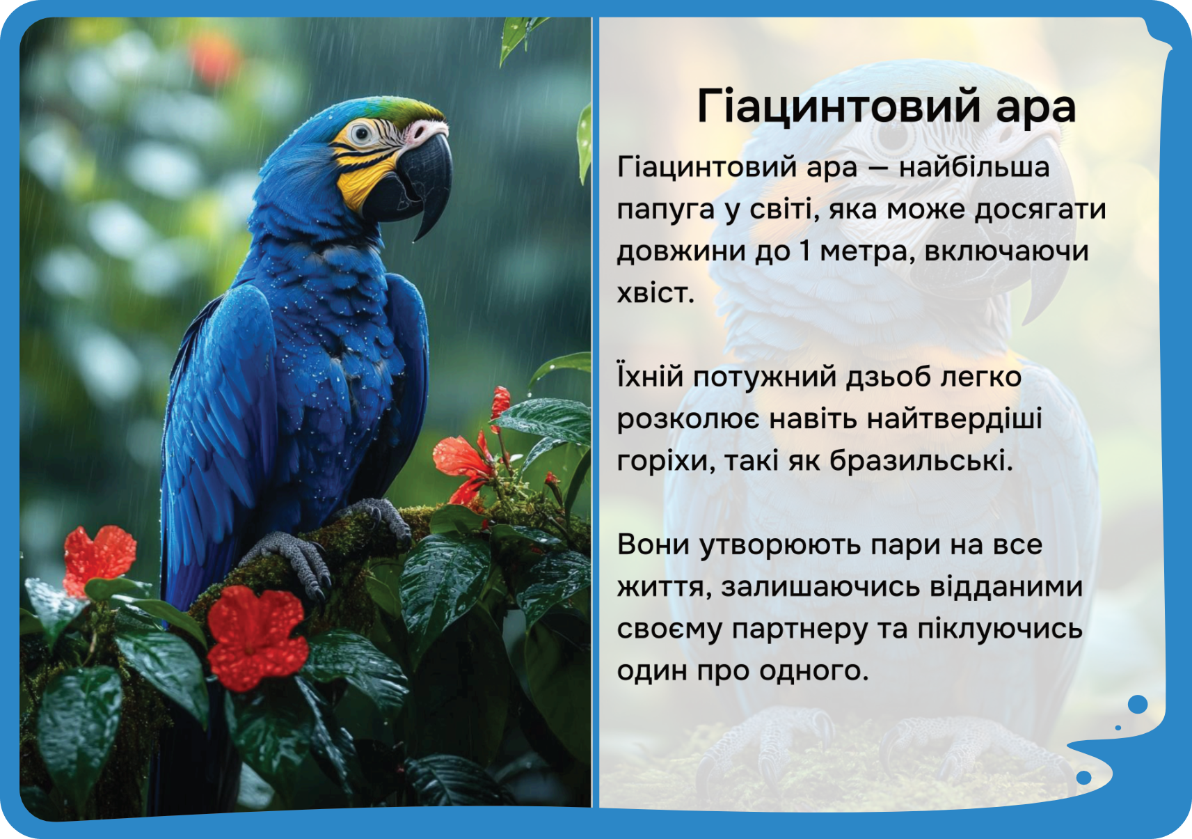 Південна Америка