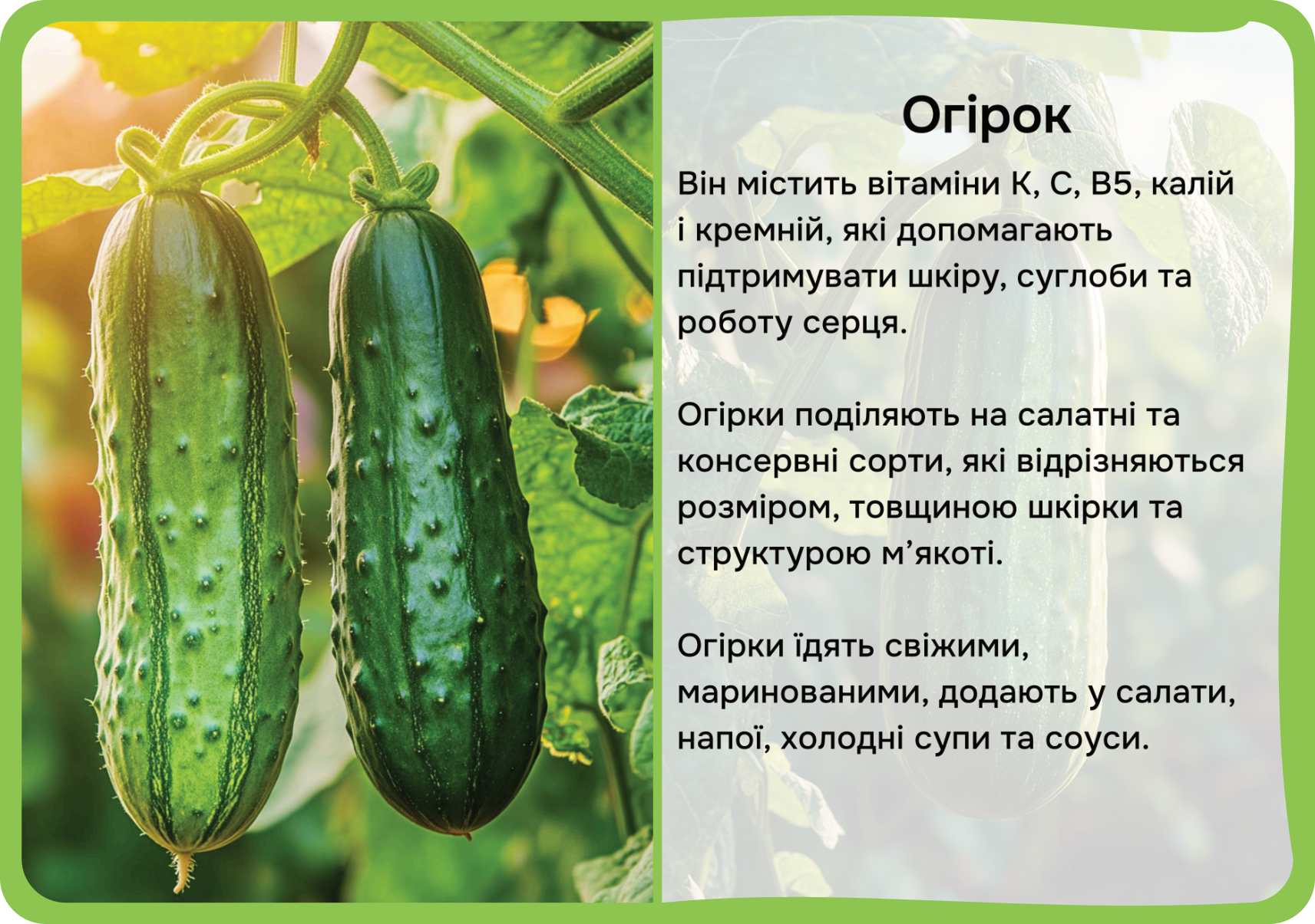 Фрукти та овочі