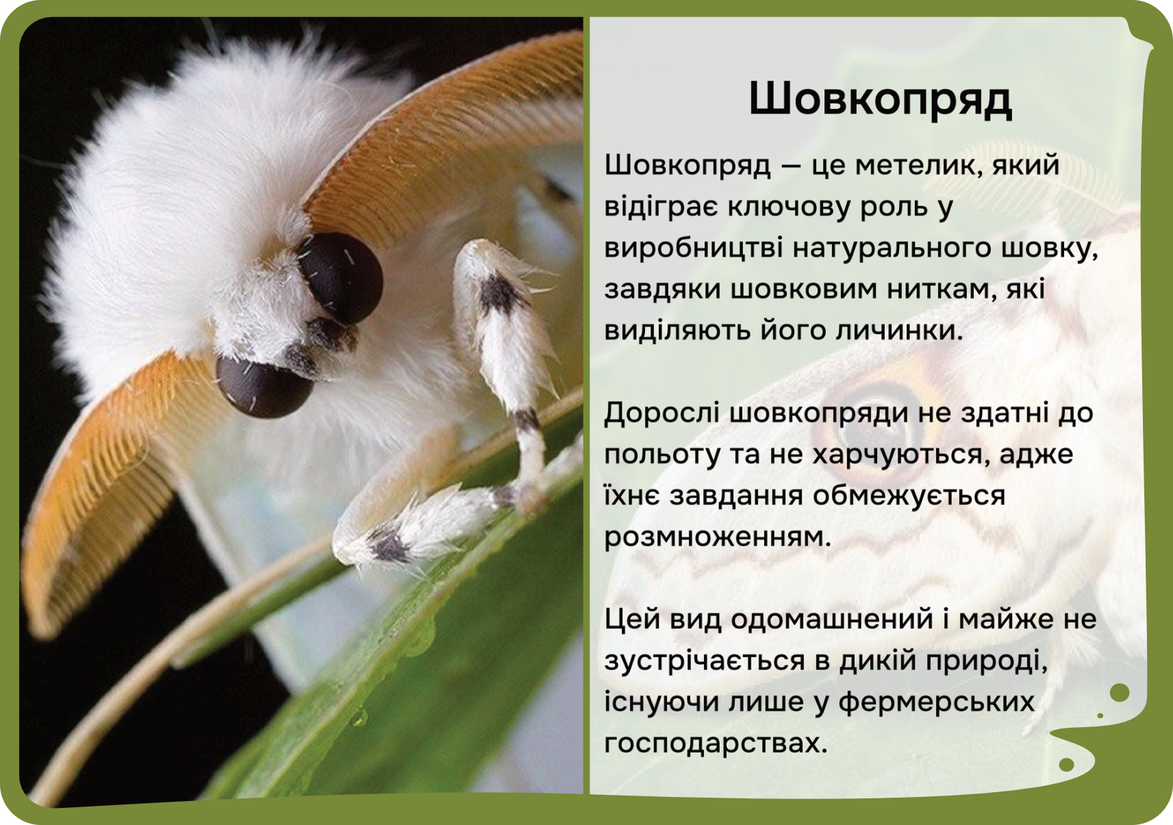 Азія