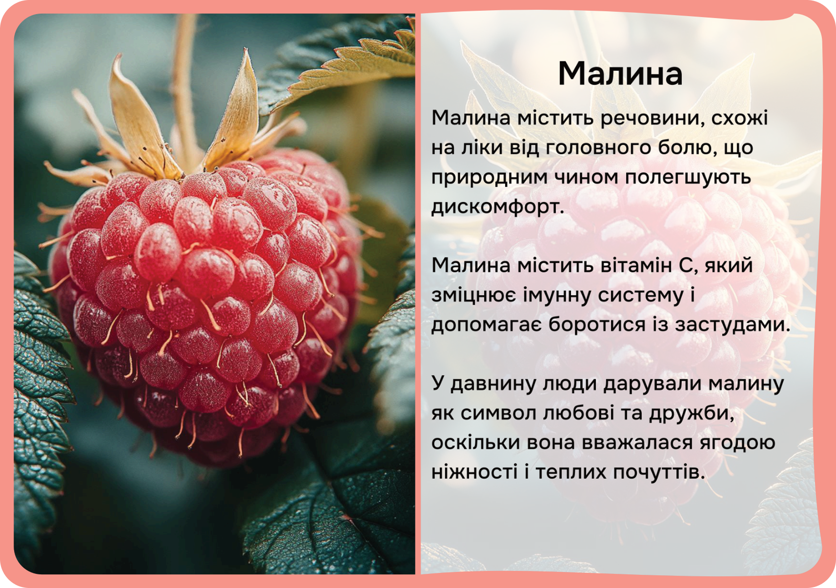 Фрукти та овочі