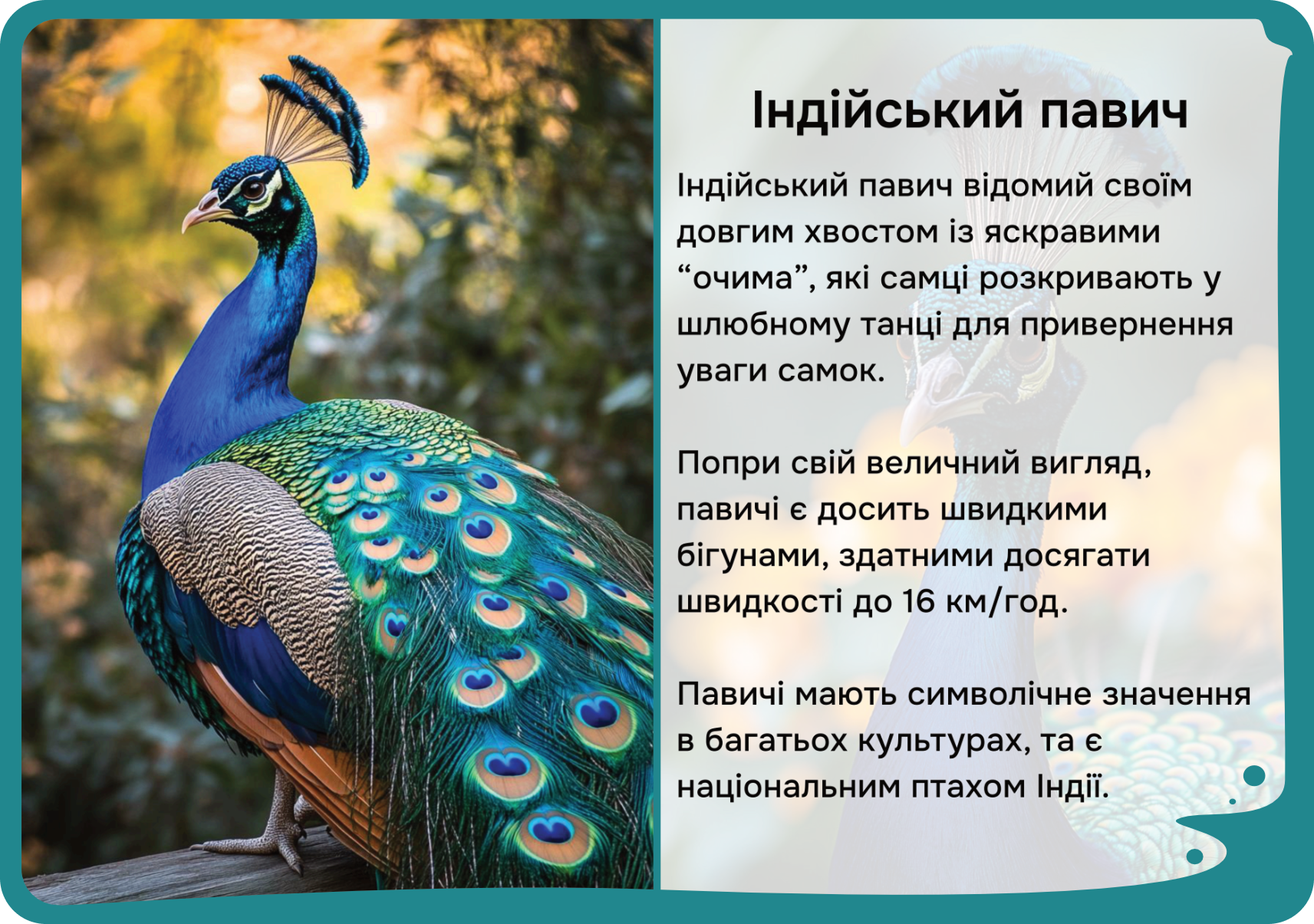 Азія