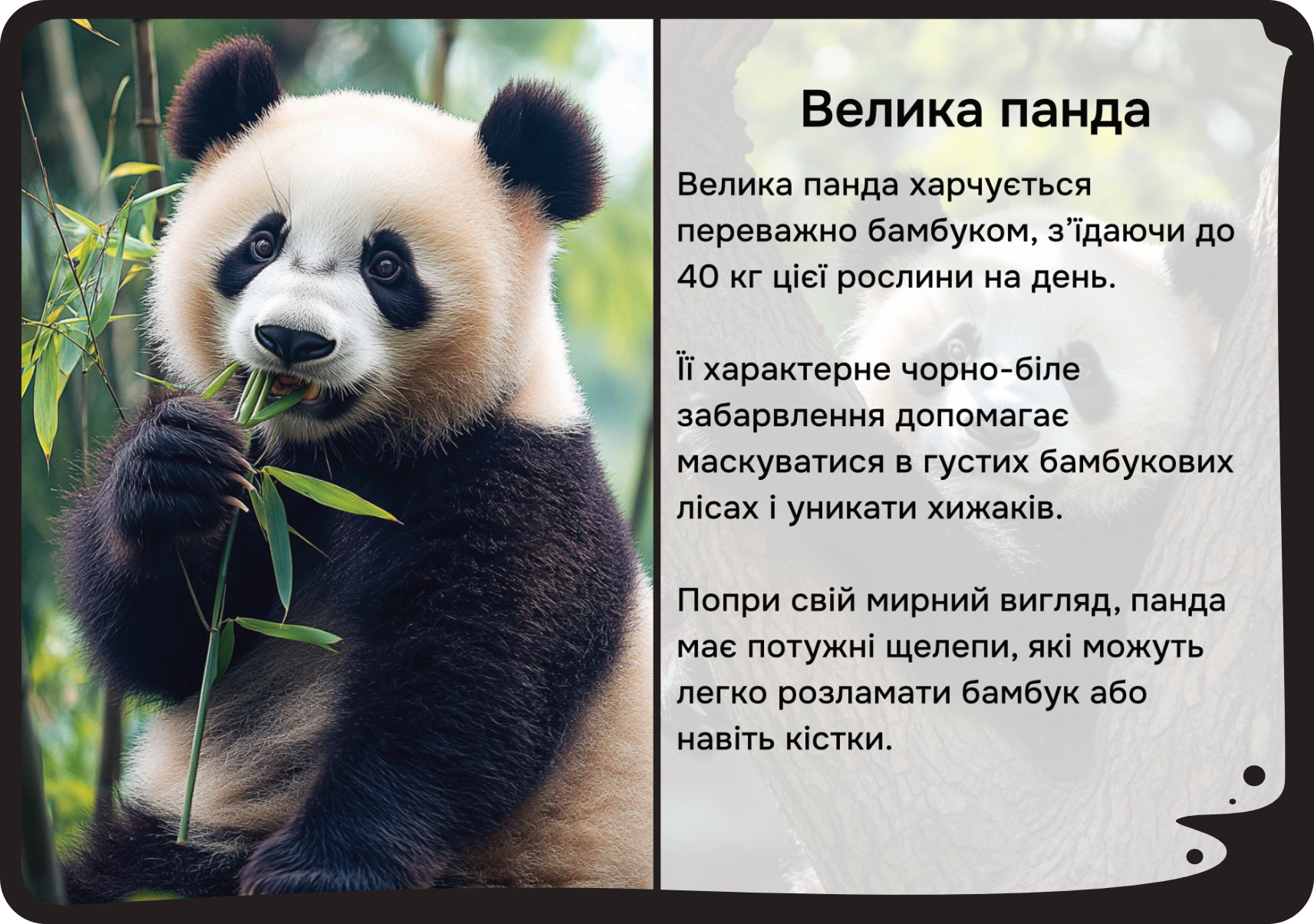 Азія