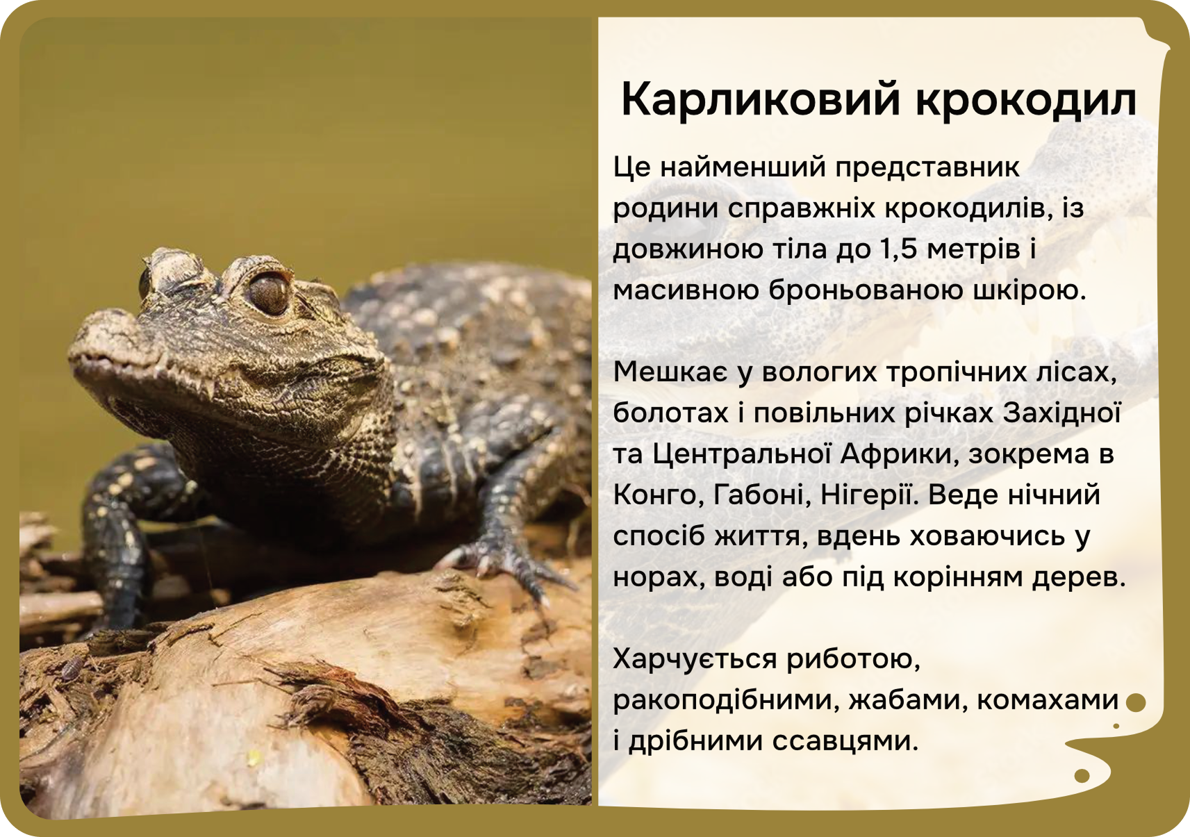 Африка