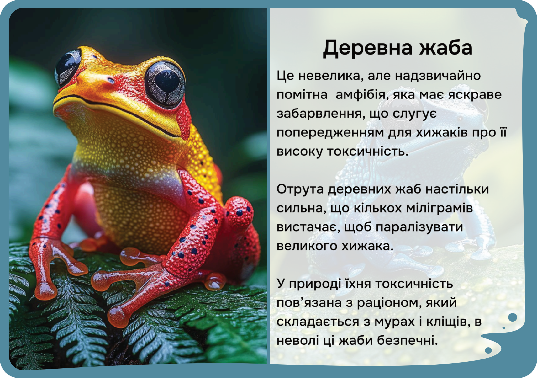 Південна Америка
