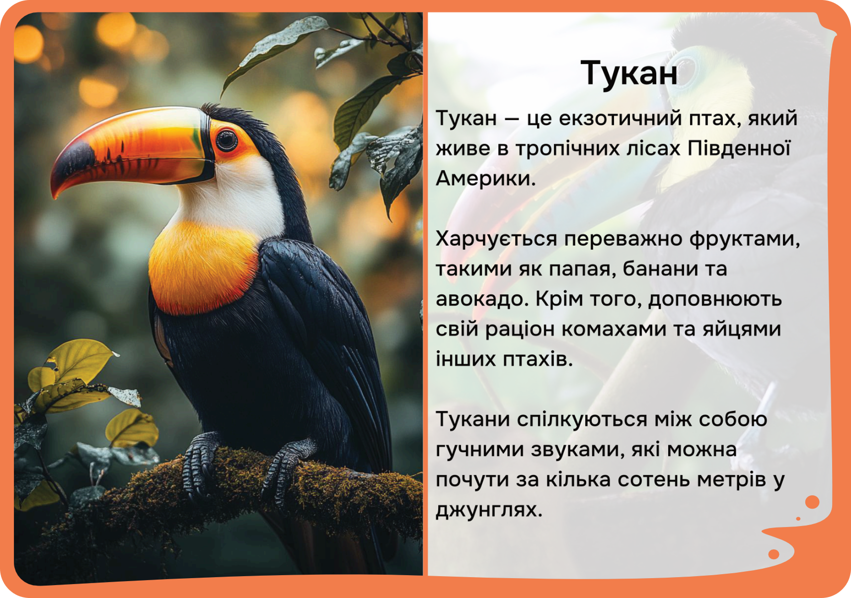 Південна Америка