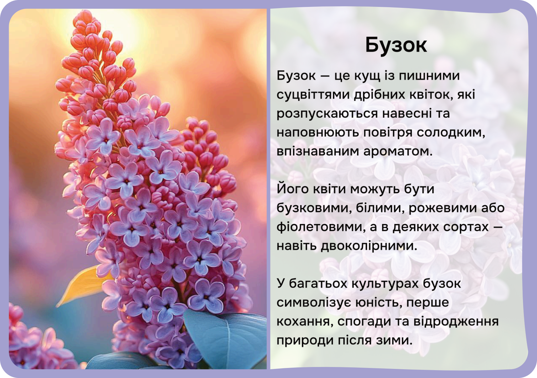 Квіти