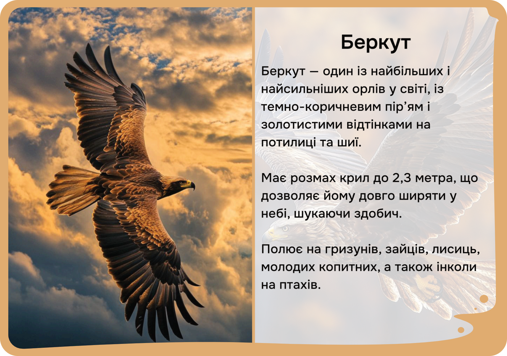 Африка