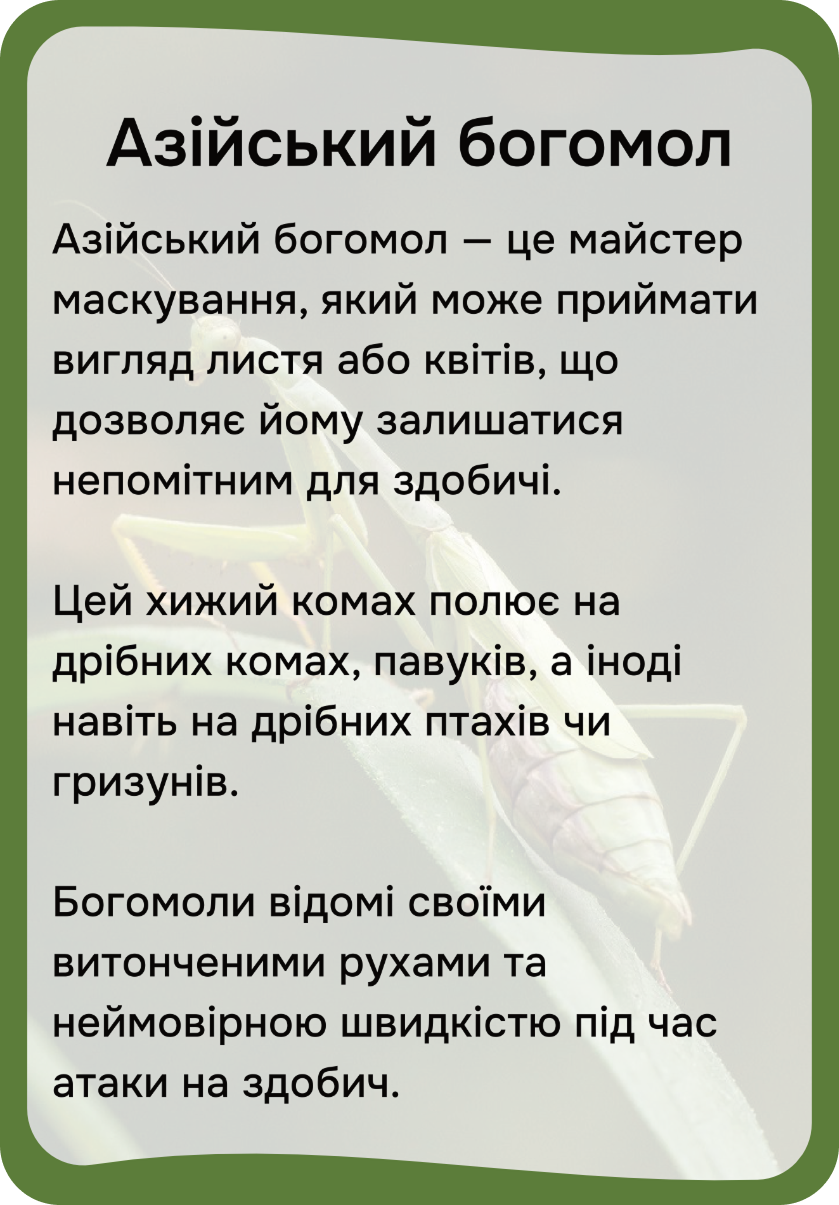 Азія