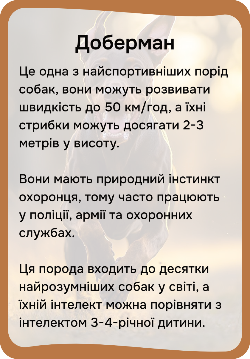 Коти та собаки