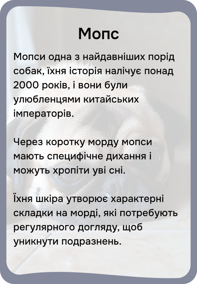 Коти та собаки