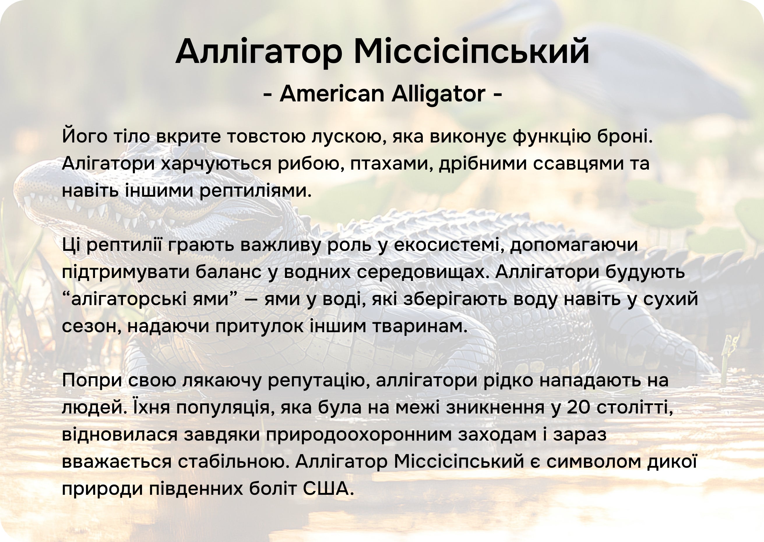 Північна Америка