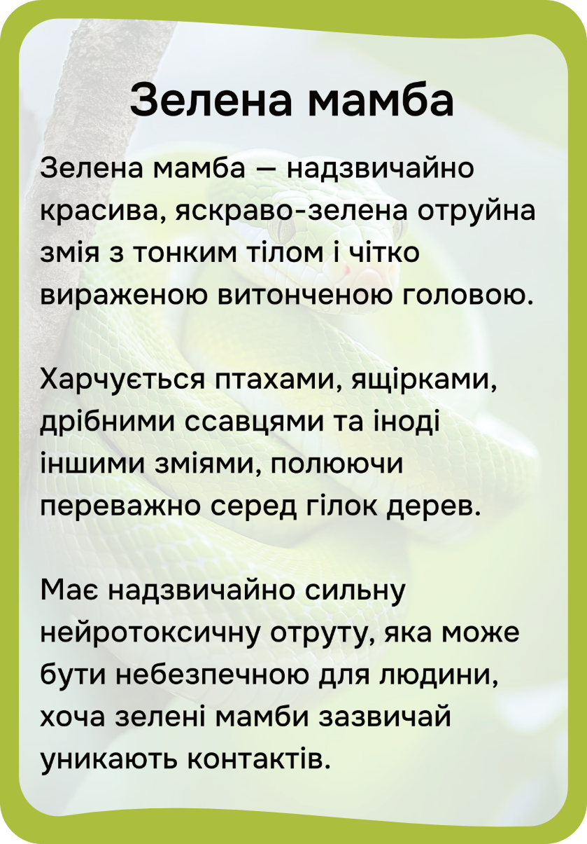 Африка