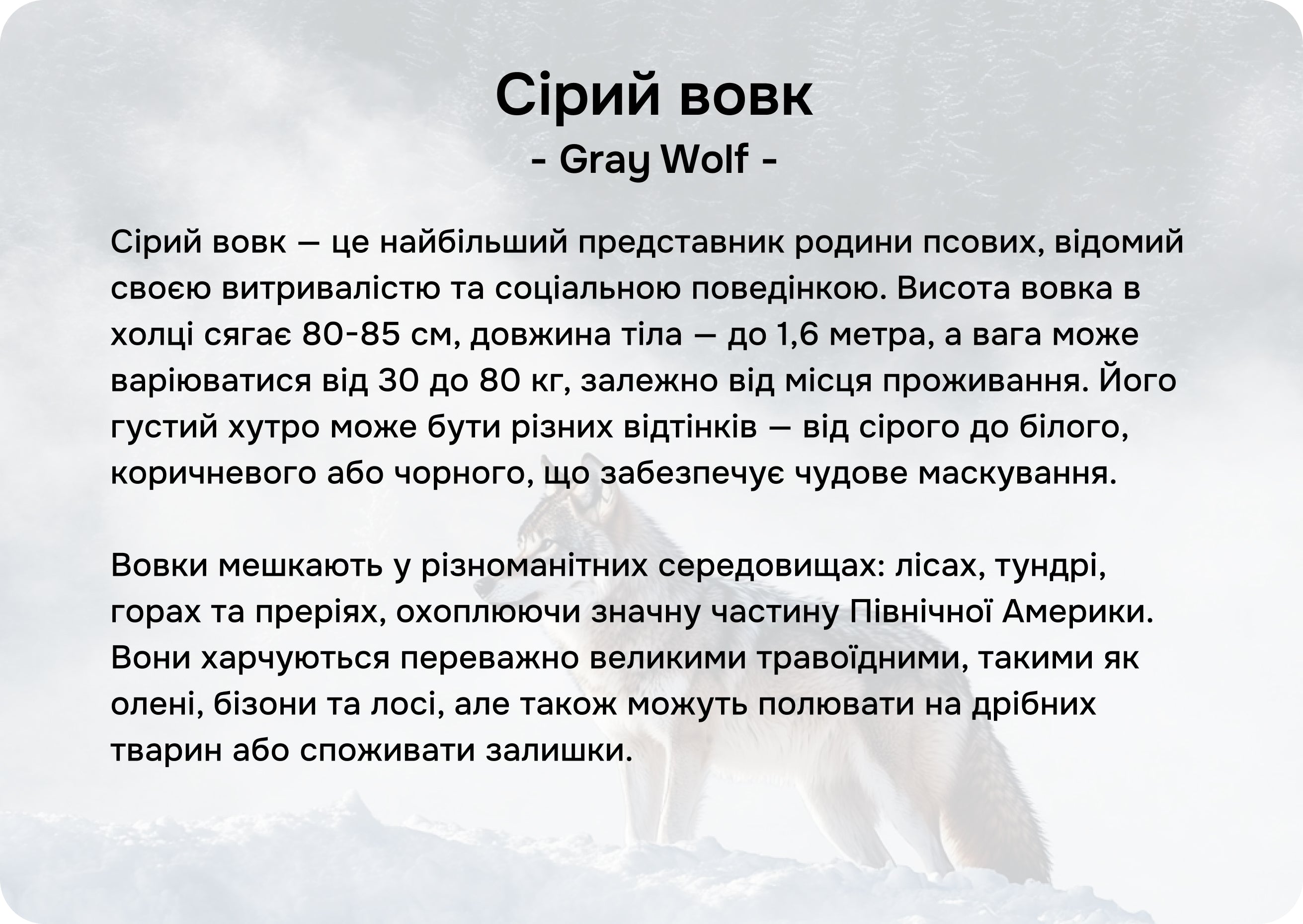 Північна Америка