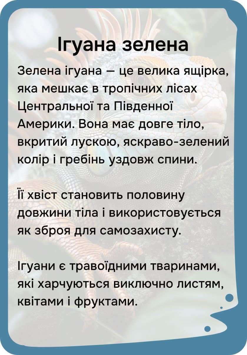 Південна Америка