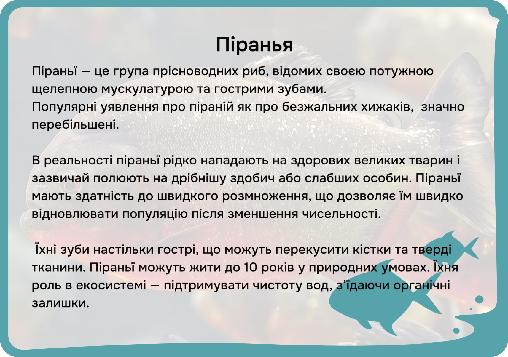 Південна Америка