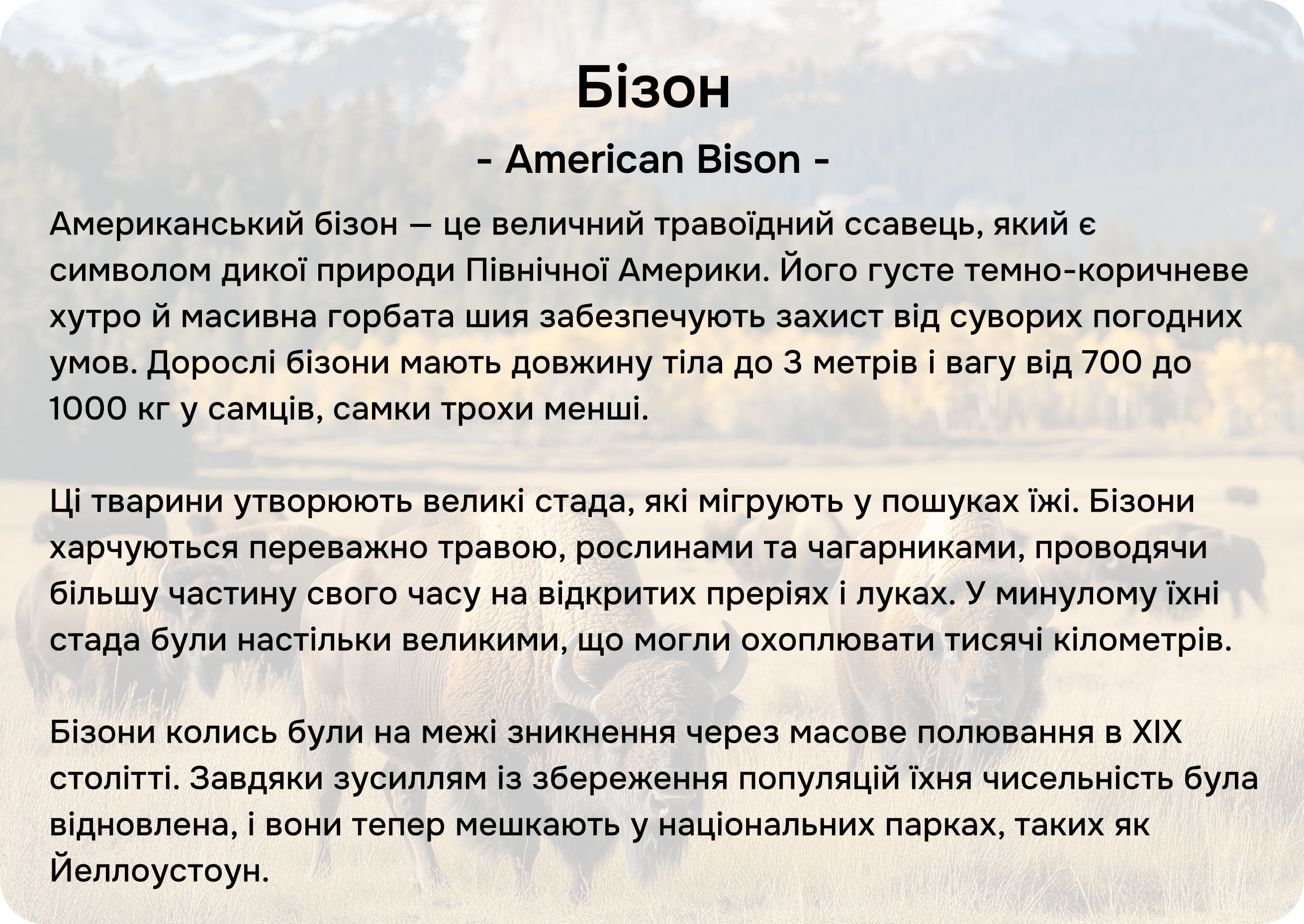 Північна Америка