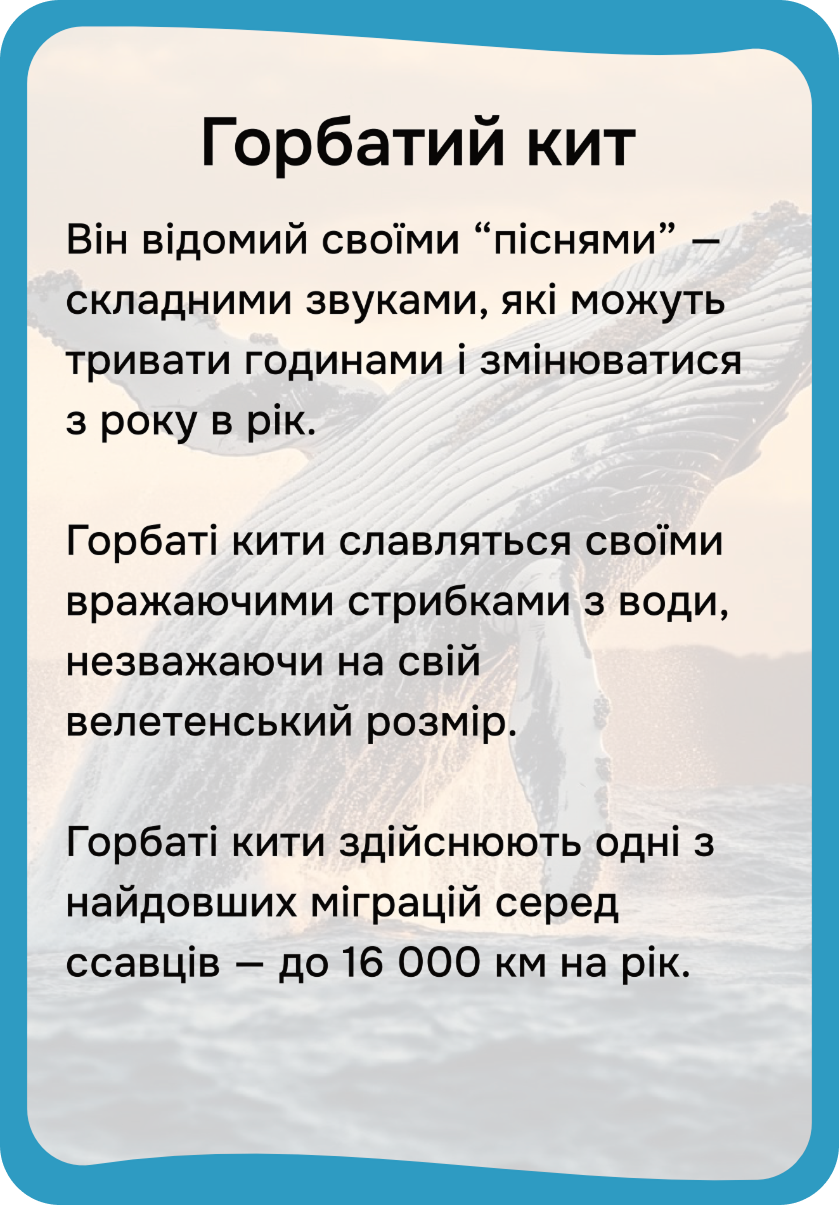 Північна Америка
