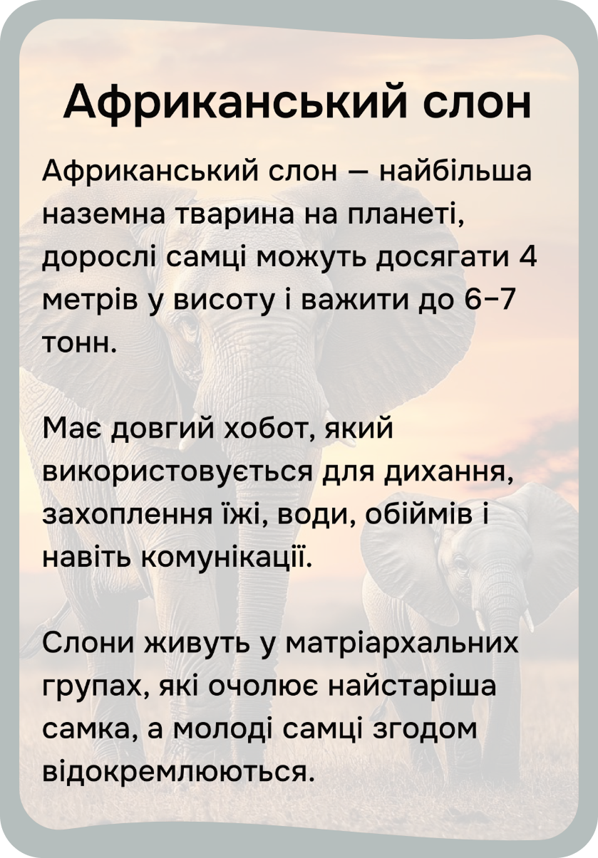 Африка