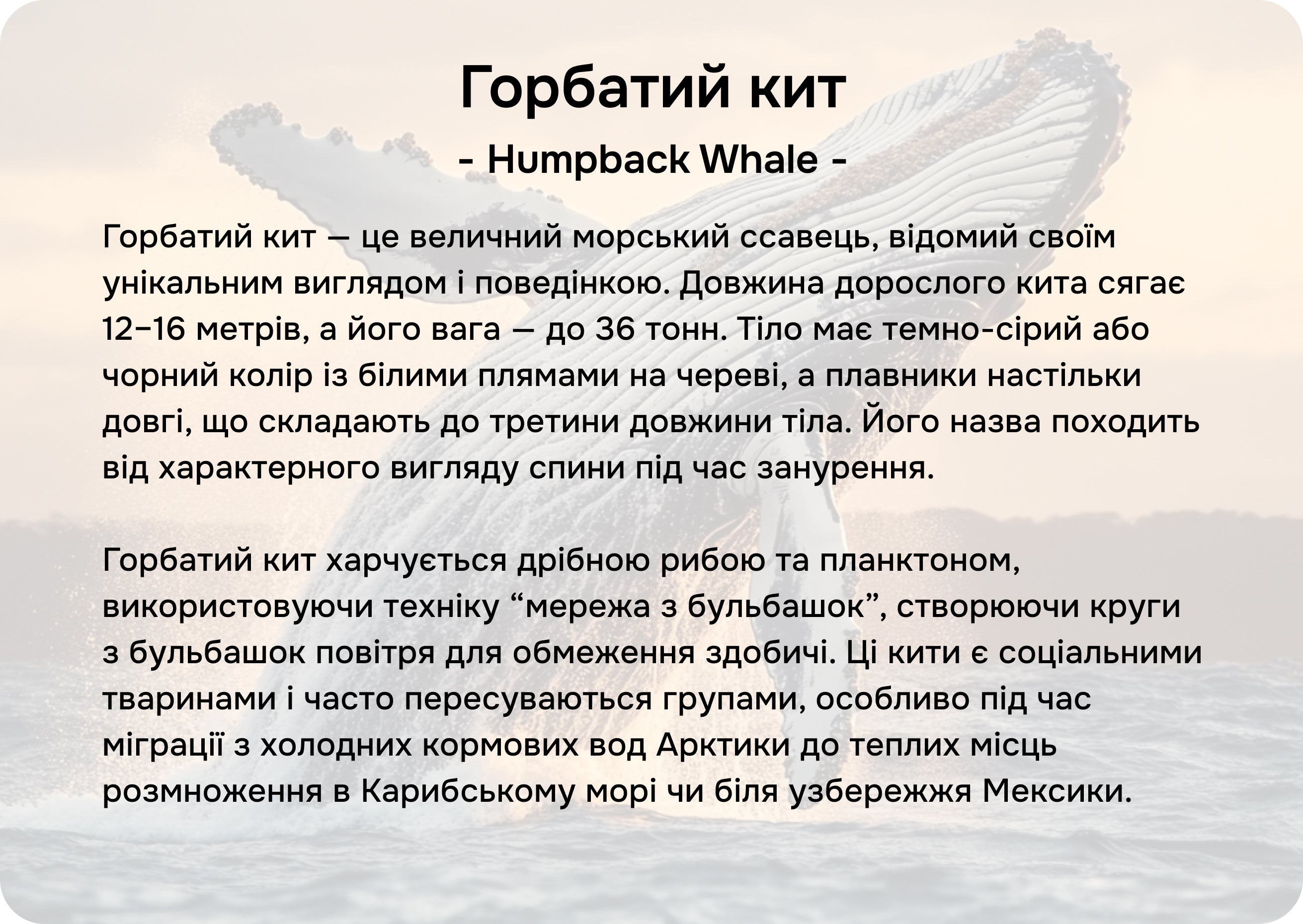 Північна Америка