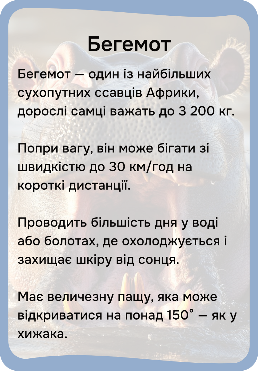Африка