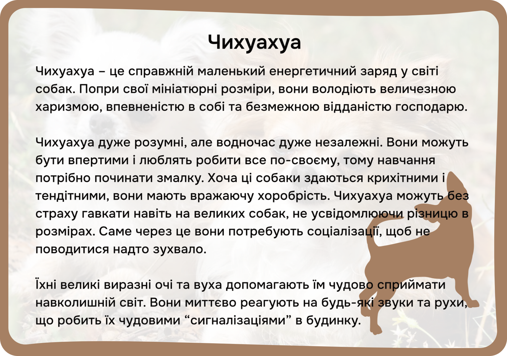 Коти та собаки