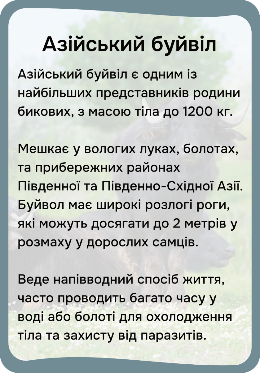 Азія