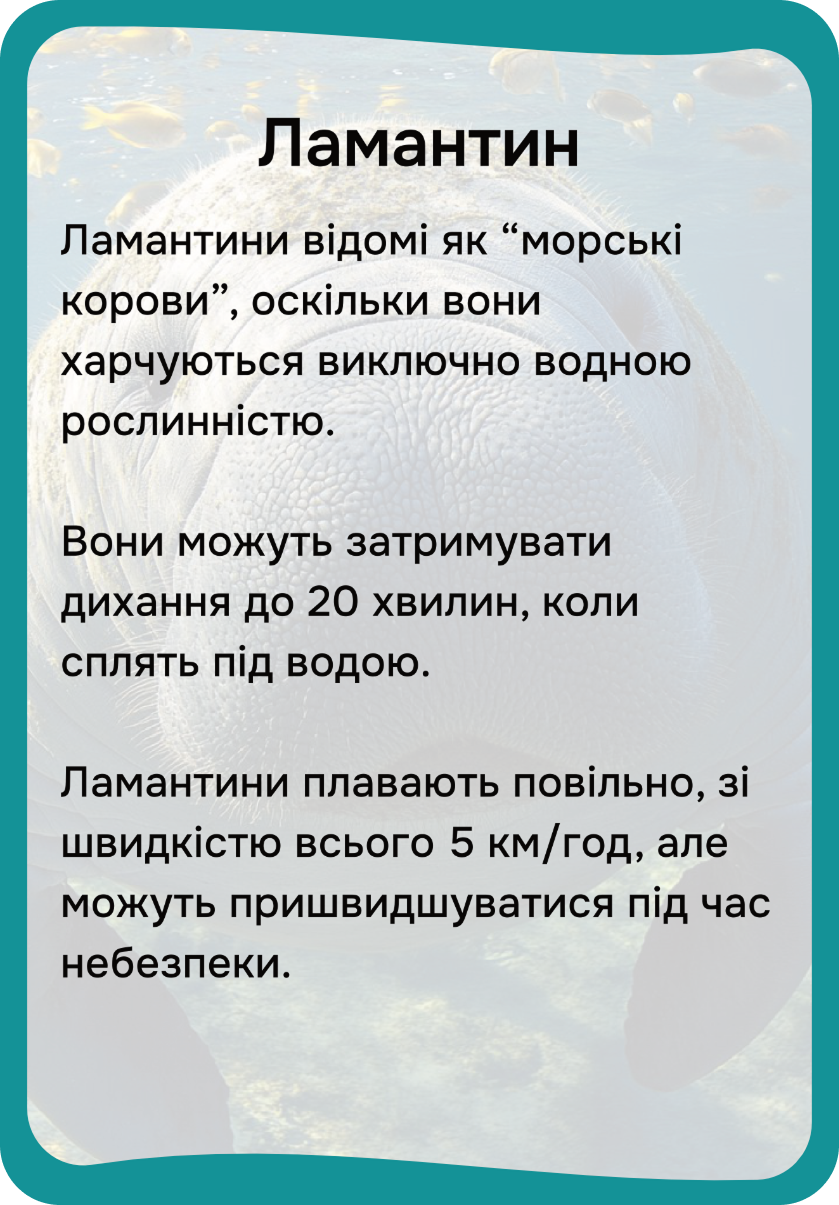 Північна Америка