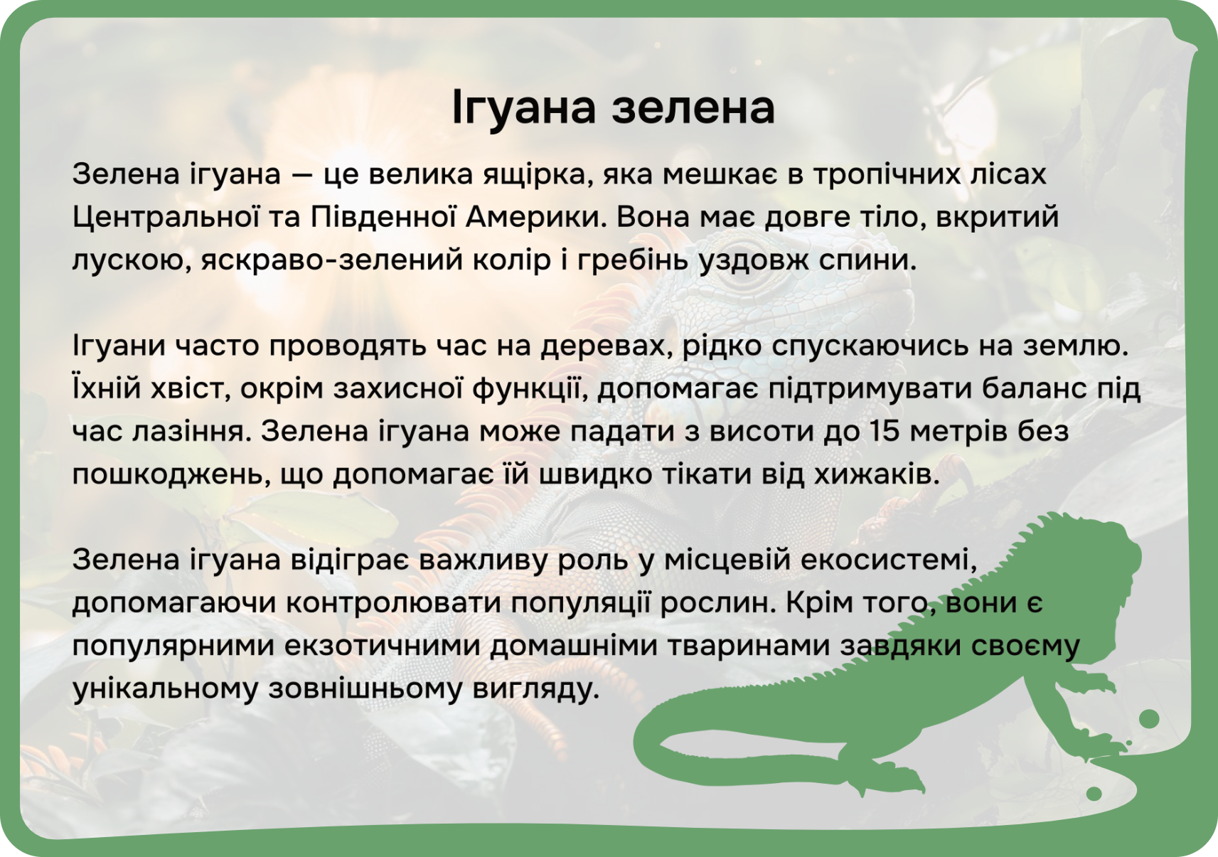 Південна Америка