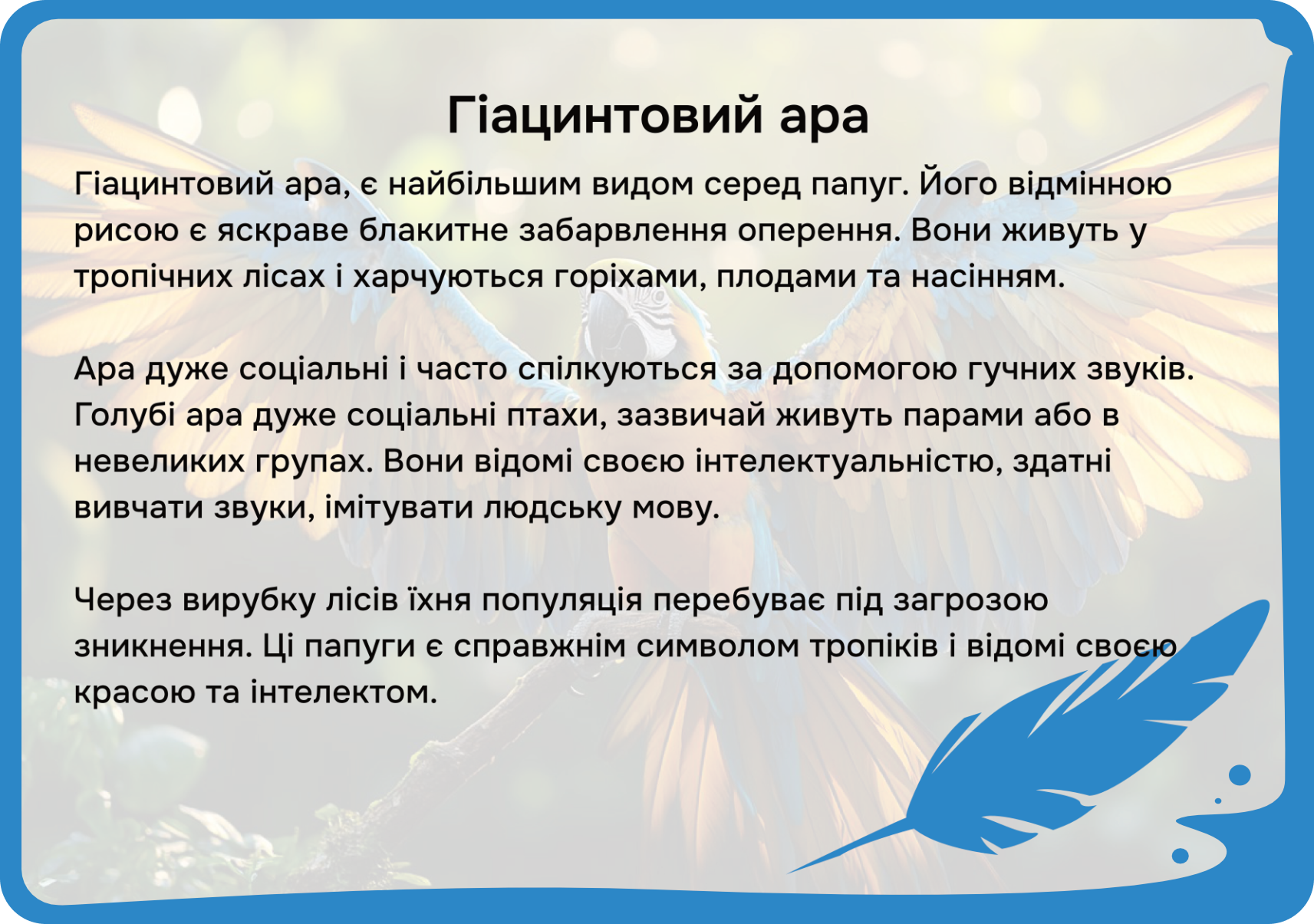Південна Америка