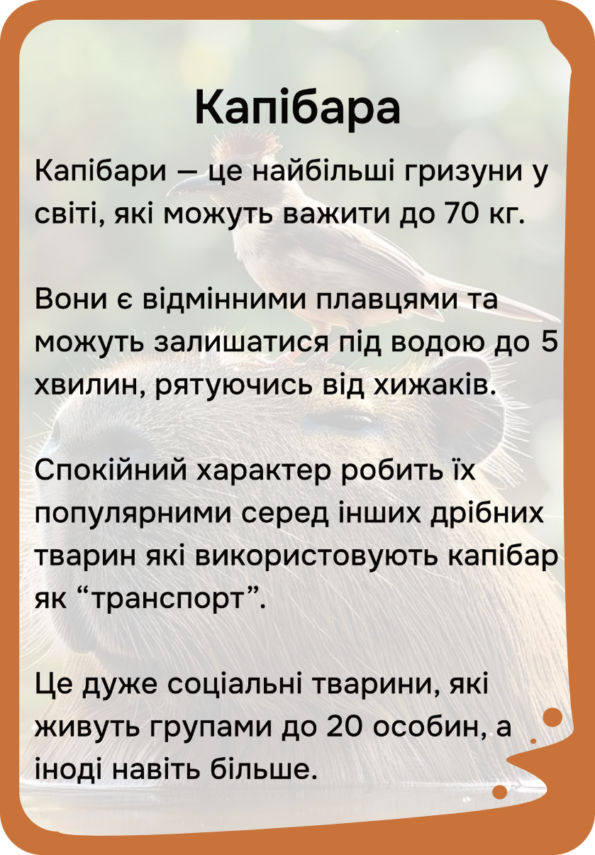 Південна Америка