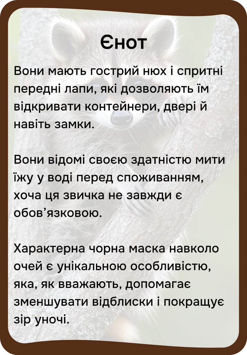 Північна Америка