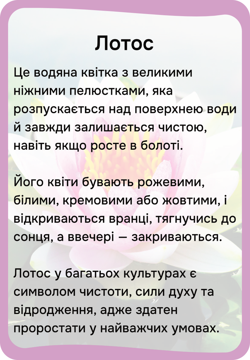 Квіти