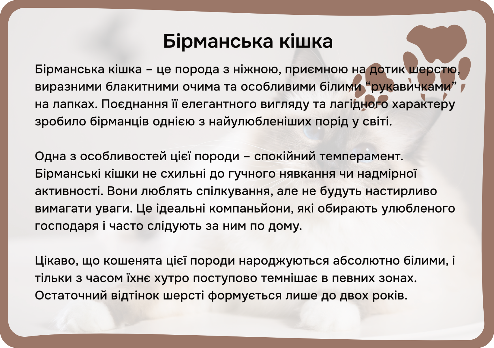 Коти та собаки