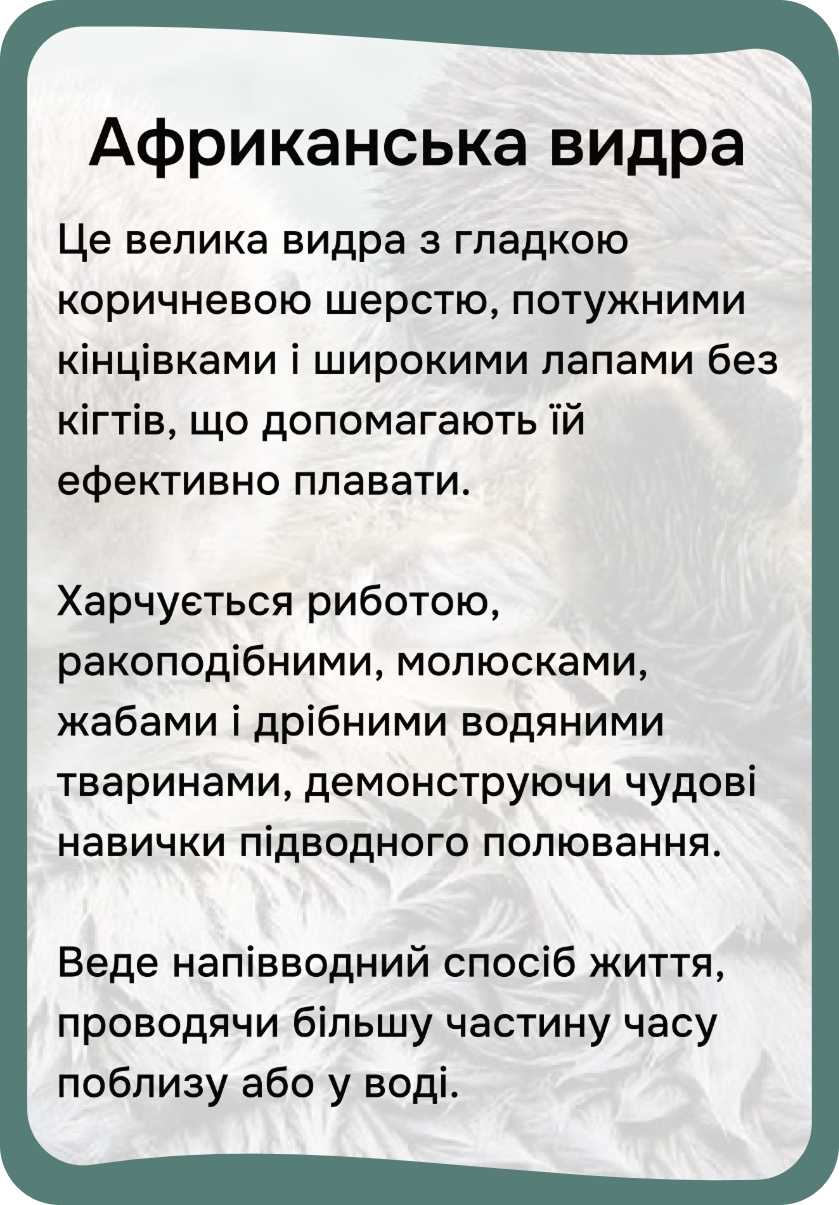 Африка