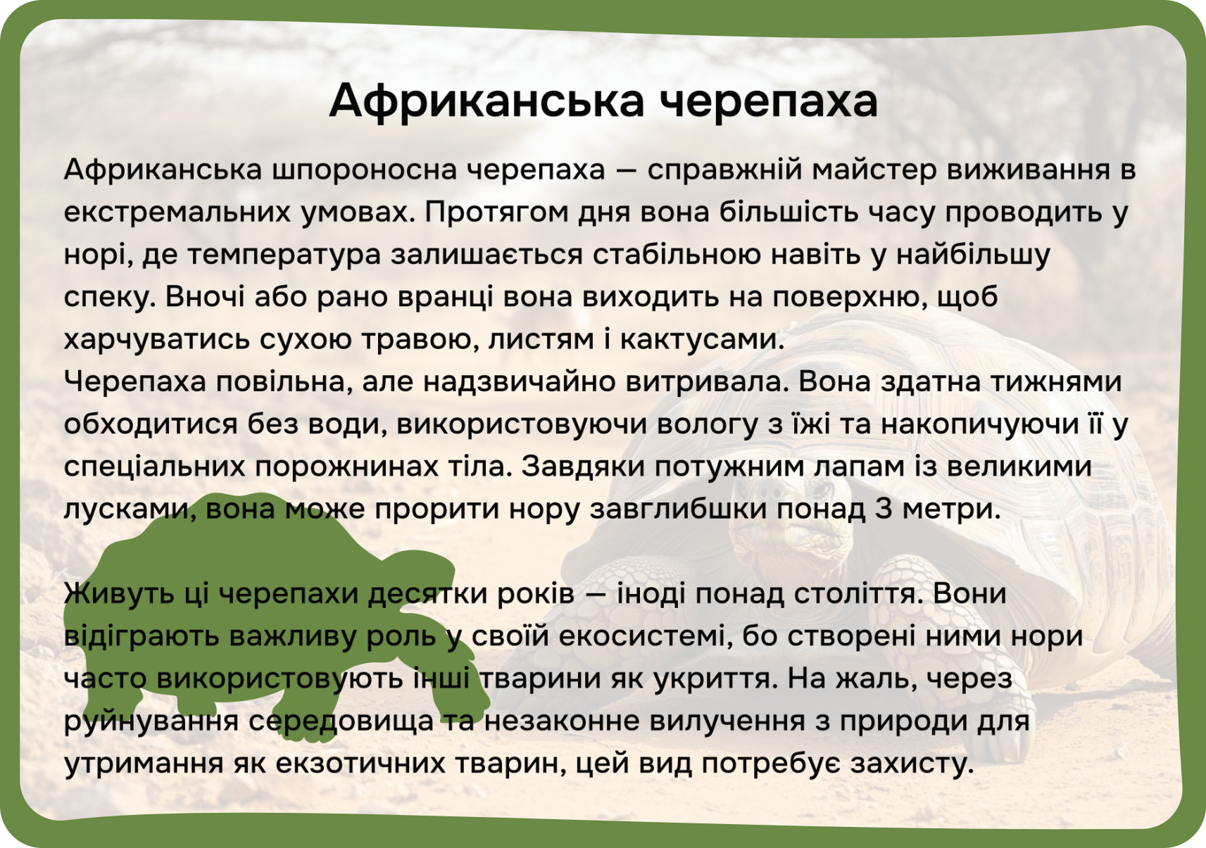 Африка