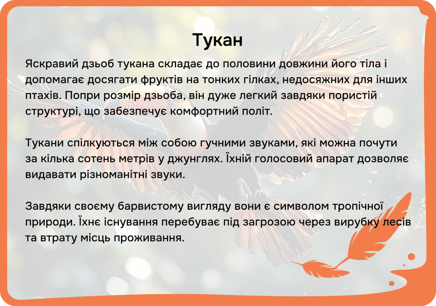 Південна Америка