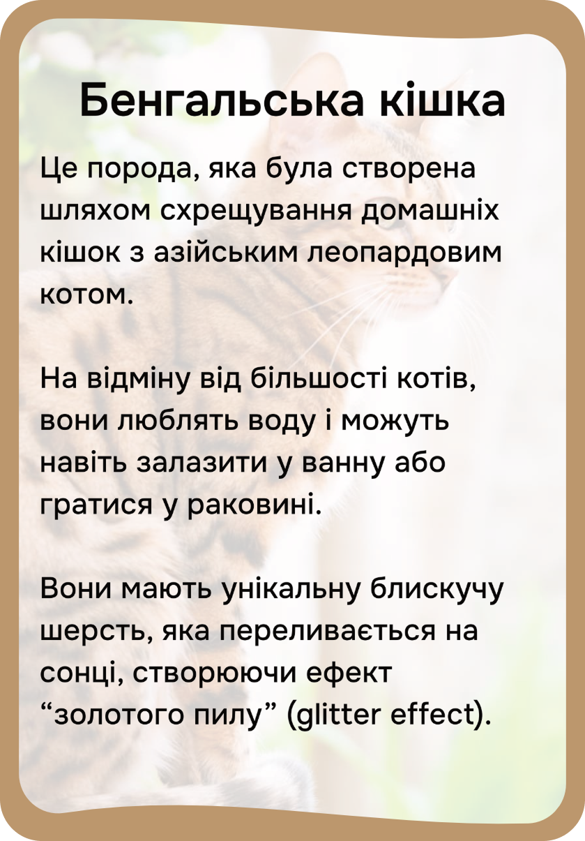 Коти та собаки
