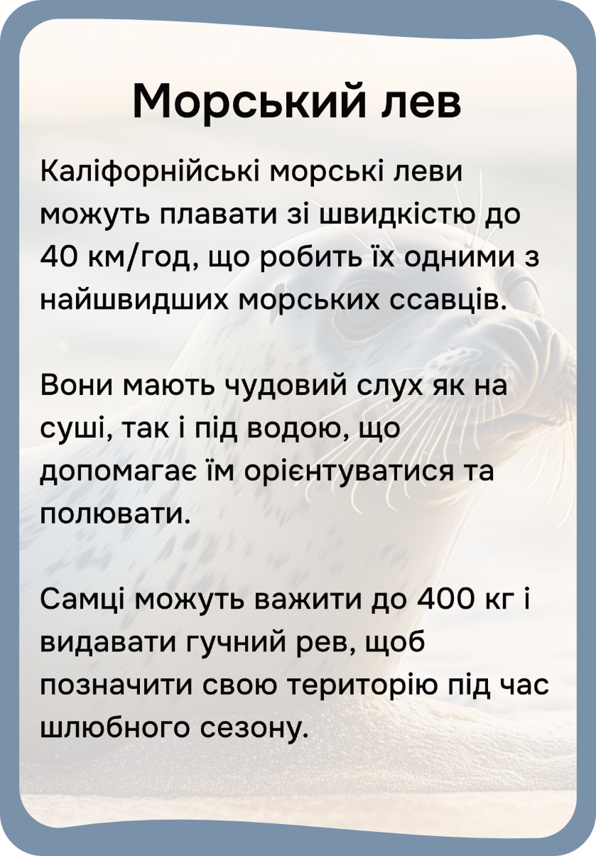 Північна Америка